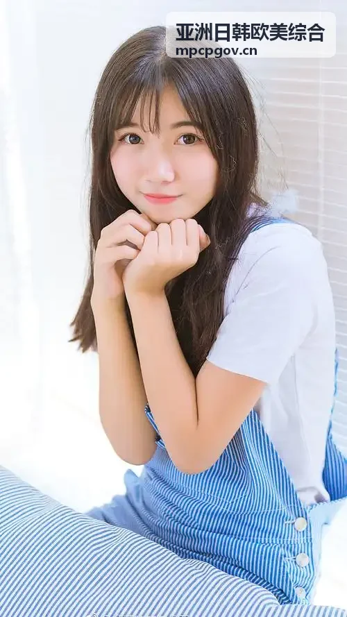 亚洲日韩欧美综合安全合规审计通道